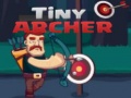 เกม Tiny Archer