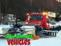 เกม Snow Groomer Vehicles