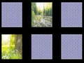 เกม Nature Memory