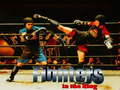 เกม Fighters in the Ring