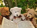 เกม Cuddly Three Teddy Jigsaw