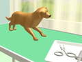 เกม Paw Care