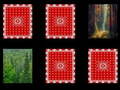 เกม Forest memory