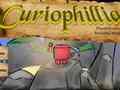 เกม Сuriophillia