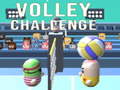 เกม Volley Challenge