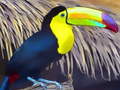 เกม Toucan Bird Jigsaw