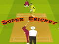 เกม Super Cricket 