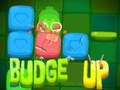 เกม Budge Up