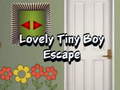 เกม Lovely Tiny Boy Escape