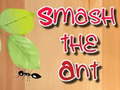 เกม Smash the Ant
