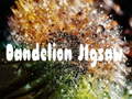 เกม Dandelion Jigsaw