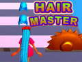 เกม Hair Master