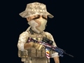 เกม Rush Team