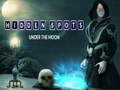 เกม Hidden Spots Under the Moon