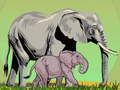 เกม Wild Animals and Their Babies