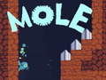 เกม MOLE