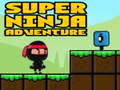 เกม Super Adventure Ninja