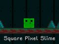 เกม Square Pixel Slime