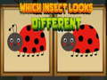 เกม Which Insect Looks Different