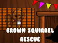 เกม Brown Squirrel Rescue
