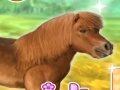 เกม My Dear Pony