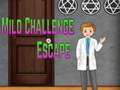 เกม Amgel Mild Challenge Escape