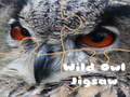 เกม Wild owl Jigsaw