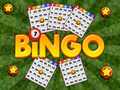 เกม Bingo Revealed