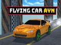 เกม Flying Car Ayn