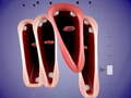 เกม Funny Chorus
