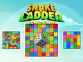 เกม Snake and Ladder Board Game