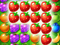 เกม Fantasy Forest