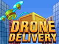 เกม Drone Delivery