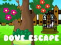 เกม Dove Escape