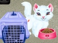 เกม Baby Taylor Pet Care