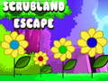 เกม Scrubland Escape