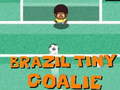 เกม Brazil Tiny Goalie