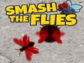 เกม Smash The Flies