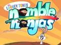เกม Nimble Ninjas
