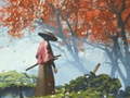 เกม Samurai Reflexion