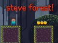 เกม Steve Forest
