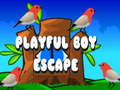 เกม Playful Boy Escape