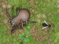 เกม Antwar.io