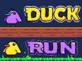 เกม Duck Run