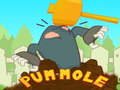 เกม Pum-Mole