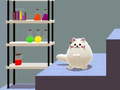 เกม Schrödinger’s Dual Cat