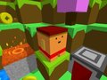 เกม Blocky Rush Downhill