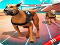 เกม Crazy Dog Race