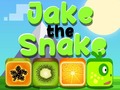 เกม Jake The Snake