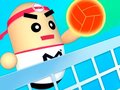 เกม 3D Amazing VolleyBall